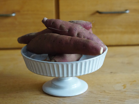 ラストチャンス！さつま芋の苗〈高系14号〉10本【農薬等不使用栽培】