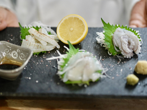 【総注文数1000件突破！】夏のお勧め😆高知の剣先イカ約2kg【手釣り】