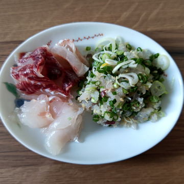 コノシロ ツナセ ６匹 本日10 30発送 香川県産 食べチョク 農家 漁師の産直ネット通販 旬の食材を生産者直送