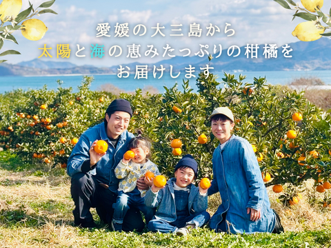 香り抜群！大三島グリーンレモン！ 5キロ【皮ごと食べられるワックス・防腐剤フリー☆】瀬戸内レモン