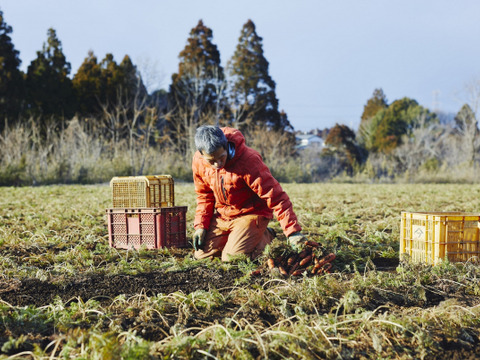 笑顔にんじん10キロ