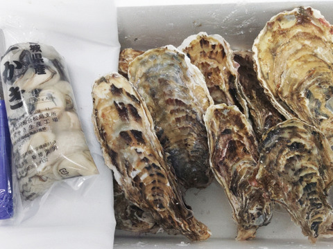 【水産庁補助事業 送料無料】剥き身セット🚚2.3kg 予約販売 【1/7～発送スタート】生牡蠣🦪生食用むき身300g+殻付き牡蠣普通サイズ ２kg（目安12-32個）松島牡蠣屋 C