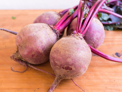 【大容量　レッドビーツ】千葉産 5㎏