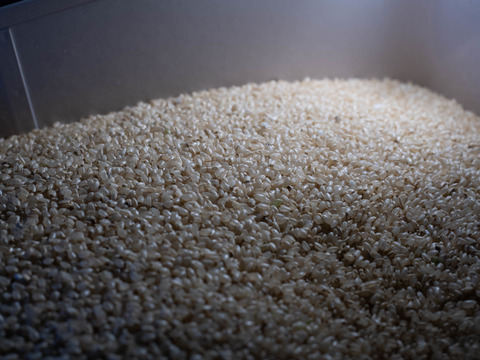 おはぎに最適　丹波産　自然栽培大納言小豆（400g） ＋　もち米・コシヒカリ混合　3合