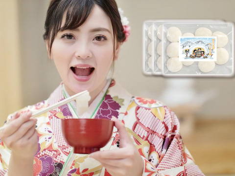 正月餅 冷凍 もち米100% 丸もち 30個  約1.2kg 発送は12月22~25日 杵つき ひめのもち  岡山の雪国 ひるぜん農園