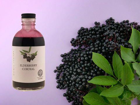 【自然の薬箱】森の果実をぎゅっと一瓶に｜エルダーベリーコーディアル 340g
