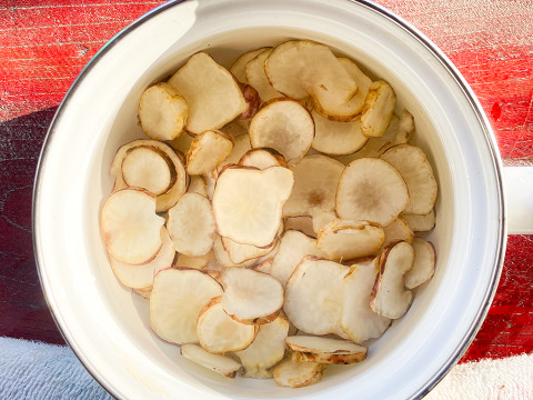 【産直直送！】宮城県産 菊芋500g  紅菊芋 自然栽培 イヌリン 栽培中農薬不使用 赤菊芋 生きくいも 生食