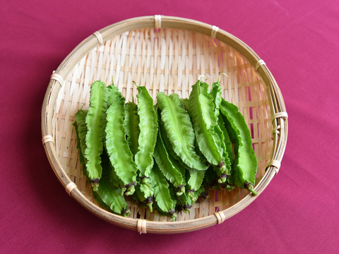 和らぎ農法　四角豆（1袋）