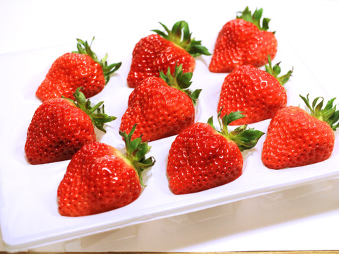 新潟ブランドいちご『越後姫』約350g 9粒