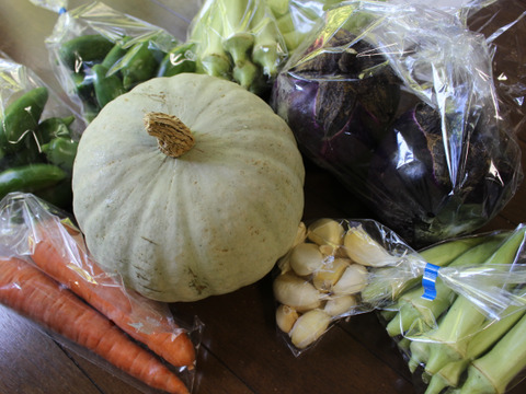 肌つや野菜セット（おまかせ３～５種類）栽培期間中は農薬不使用