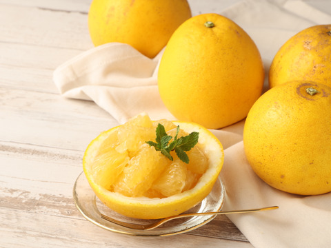 自然栽培　ジューシーオレンジ約5kg（10玉前後）🍊　別名　和製グレープフルーツ　爽やかな風味