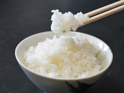 【予約商品】【令和7年新米】炊き上がりの艶と上品な甘さが絶品！魚沼産コシヒカリ『原材料名、津南町』精米10㎏(5㎏×2)