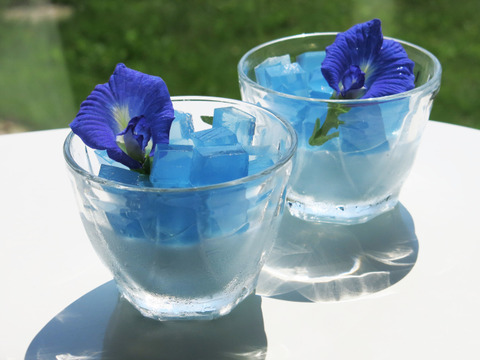 8月限定 透き通る天然の青 バタフライピー入り夏野菜セット 農薬 栽培期間中不使用 千葉県産 食べチョク 農家 漁師の産直ネット通販 旬の食材を生産者直送