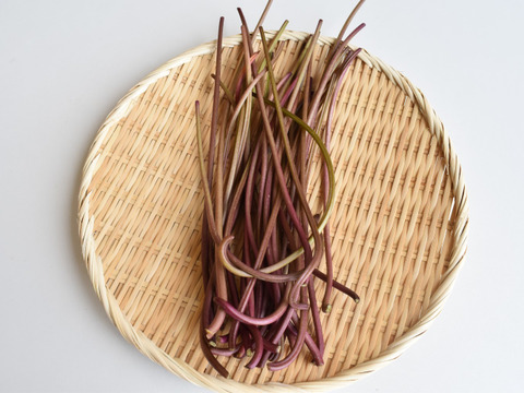 和らぎ農法　さつまいも　芋づる（1束）