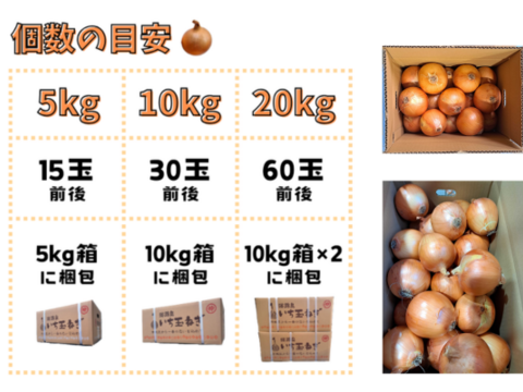 【野菜ソムリエサミット金賞🏆】淡路島玉ねぎ10kg