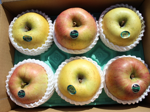 りんご☆プロフ必読でお願いします☆ 楽天市場】青森産 世界一りんご せかいいちりんご 約5kg 超大玉8