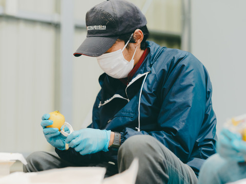 干し柿食べ比べセット8玉