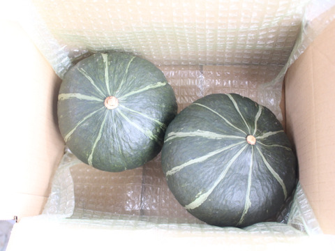 かぼちゃ『ダークホース』２玉約３㎏　ホクホク甘くて美味しい