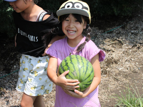 【美味しい野菜をお届けします】　季節の野菜セット『採れTakara☆彡』7品