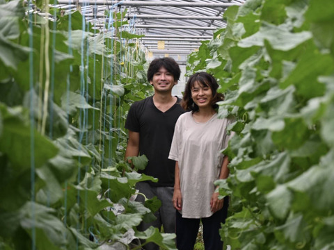 柔らかくネバネバ丸オクラ 800g 【板ずり不要】