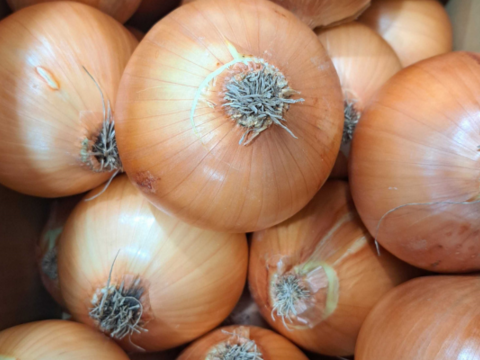 【野菜ソムリエサミット金賞🏆】淡路島玉ねぎ10kg