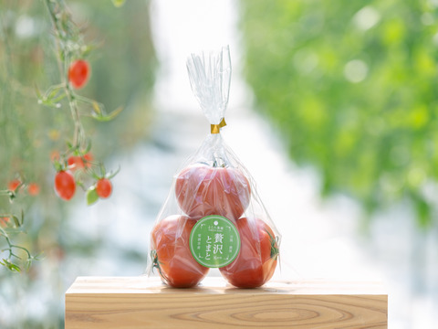 年始SALE!! 【1/2,3,4日着限定】濃厚！　ぜいたくトマト2kg　フルーツトマト