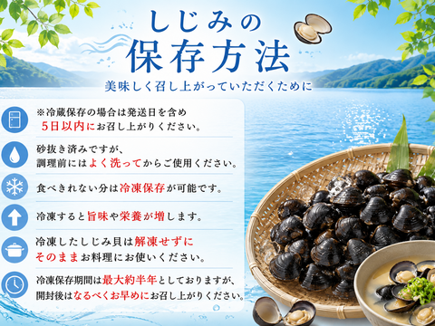 【丑の日ギフト】豪華な大サイズ１kg　十三湖産「大和しじみ」