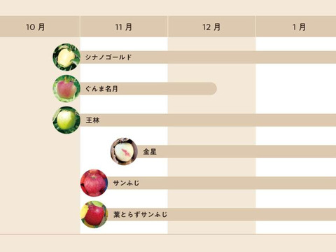 ★11月中旬発送★No.1人気・毎日食べたいサンふじ家庭用3kg（7~12玉）