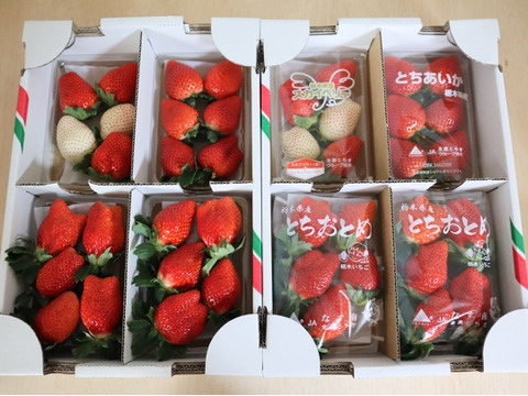 とちぎの完熟いちご３種の食べ比べセット
(とちあいか・スカイベリー・とちおとめ)
【いちご食べ比べ】
