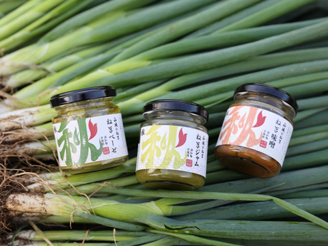 山城のねぎ三昧♪　ねぎベーゼ・ねぎジャム・ねぎ味噌（各100g）珍しいギフトとして人気です♪