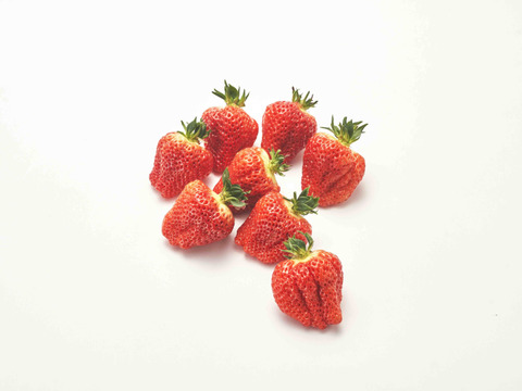 奇跡のいちご【ダイヤモンド越後姫 甘満の恵み】8粒  最上級品