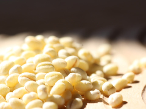 令和7年産　もちっプチっ食感が癖になる！岡山西大寺幸せもち麦（2kg（500ｇ×４））