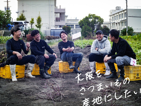 【夢シルクご家庭用２キロBOX】上品な甘みと、シルクのような滑らさ！大阪産さつまいも