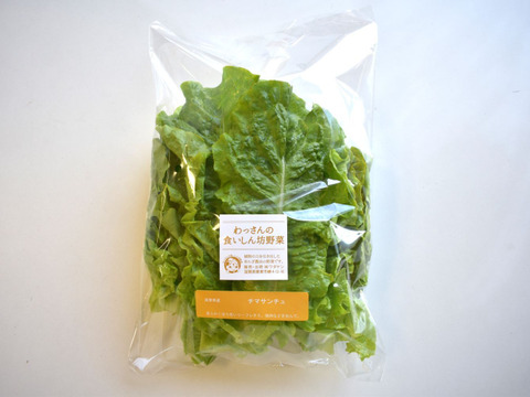 和らぎ農法　チマサンチュ（1袋）