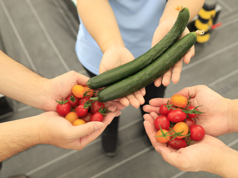 野菜セット【太陽の光を浴びました！】