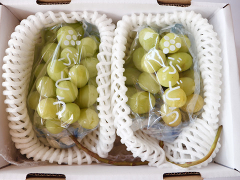 【秋の味覚を満喫！】農薬不使用　いちじく詰め合わせ(約600g)、とことん農薬節減シャインマスカット(約800g)