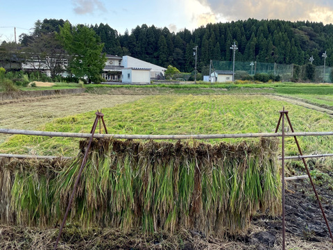 【2025年度産】［玄米］自然栽培ゆめみづほ5kg（富山県氷見産）
