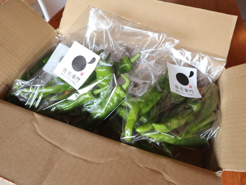 万願寺とうがらしより美味しい？！　『甘唐美人』１kg