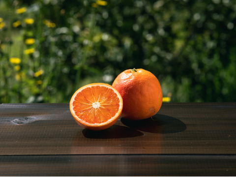 SP5 【濃厚な甘み】ブラッドオレンジ（タロッコ）5kg
