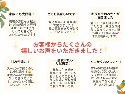 早生温州みかん 10キロ箱　愛媛県・大三島産　ご家庭用S〜L混合