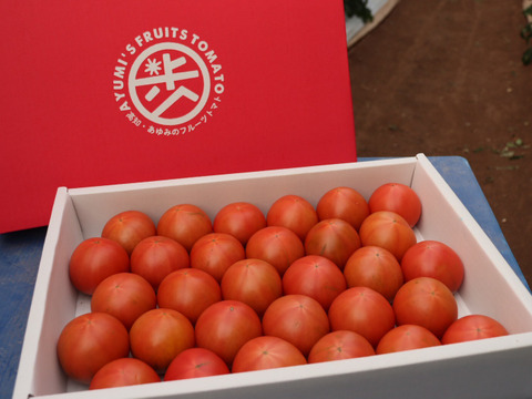 【ご褒美トマト】糖度8度以上フルーツトマト2Kg　｜高知県香南市産｜贈答品