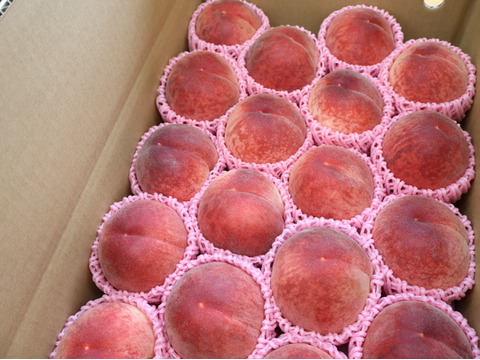 【特別価格！】極早生桃「はなよめ」5kg【2日間限定】