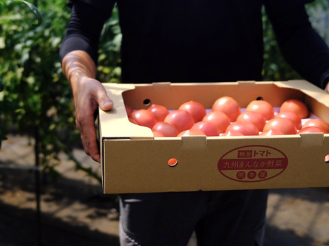 山の恵みがつくる大玉トマト 4kg箱詰め(20～28玉)