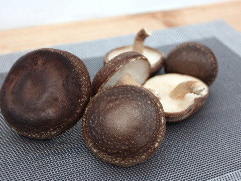 【期間限定】ジューシーで風味豊かな原木しいたけ『生』500g