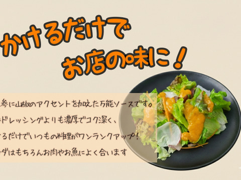 【無添加】ドレッシングとソースのセット　農薬不使用恋人参使用