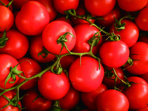 夏の霧のトマト　200g×4パック