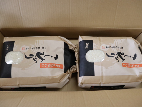 【令和7年度産　山の水で育った】高知県香南市産コシヒカリ　精米5Kg×2袋（10Kg）