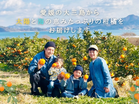 【予約】潮風みかん 5キロ箱　愛媛県・大三島産　ご家庭用S〜L混合