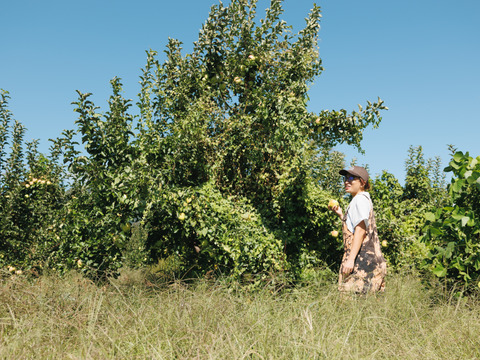 絶対死にたくないりんご