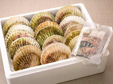 2月上旬で今季終了です 活 殻付きホタテ大 Lサイズ40枚 もっちり プリプリ三陸宮城ホタテ貝 発送日の朝採り出荷 宮城県産の貝類 食べチョク 産地直送 産直 お取り寄せ通販 農家 漁師から旬の食材を直送